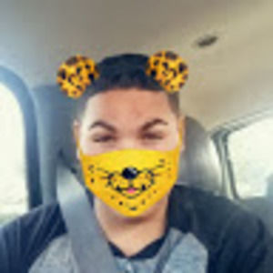 Meet your Posher, Maurice